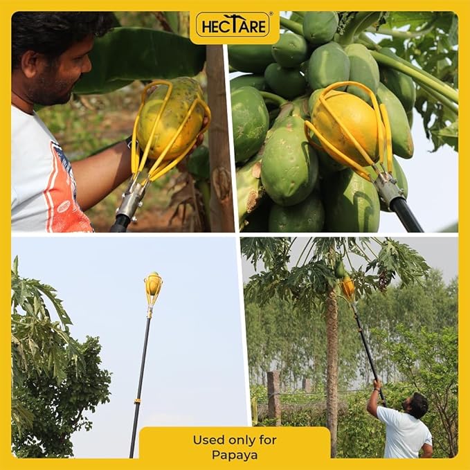 HECTARE Papaya Harvesting Tool - Handheld Fruit Picker (Without Pole) - entle Prongs, Preserves Fruit Quality, Quick Clean-Up, Suitable for Gardens & Orchards