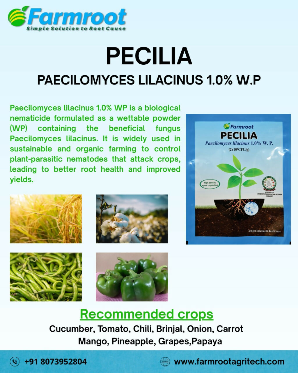 PECILIA POSTER
