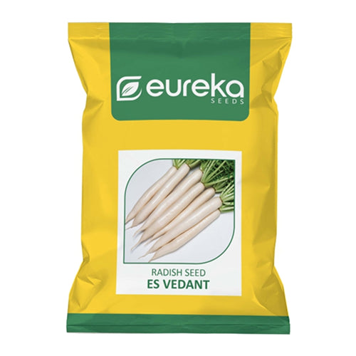 RADISH ES VEDANT IMPROVED