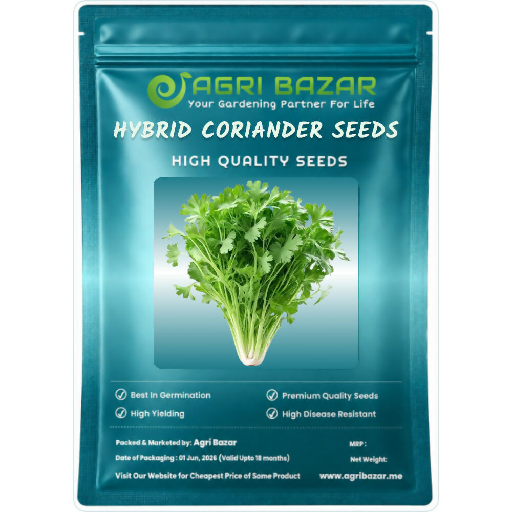 Agri Bazar Hybrid Coriander (Dhaniya) Seeds 100g