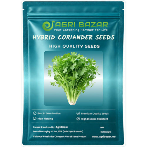 Agri Bazar Hybrid Coriander (Dhaniya) Seeds 100g