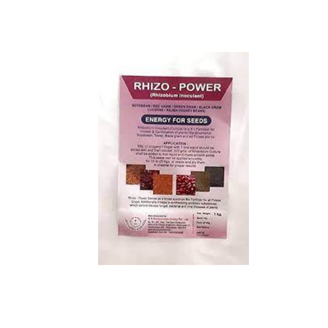 RHIZO POWER (RHIZOBIUM)-Energy for seeds - Khethari