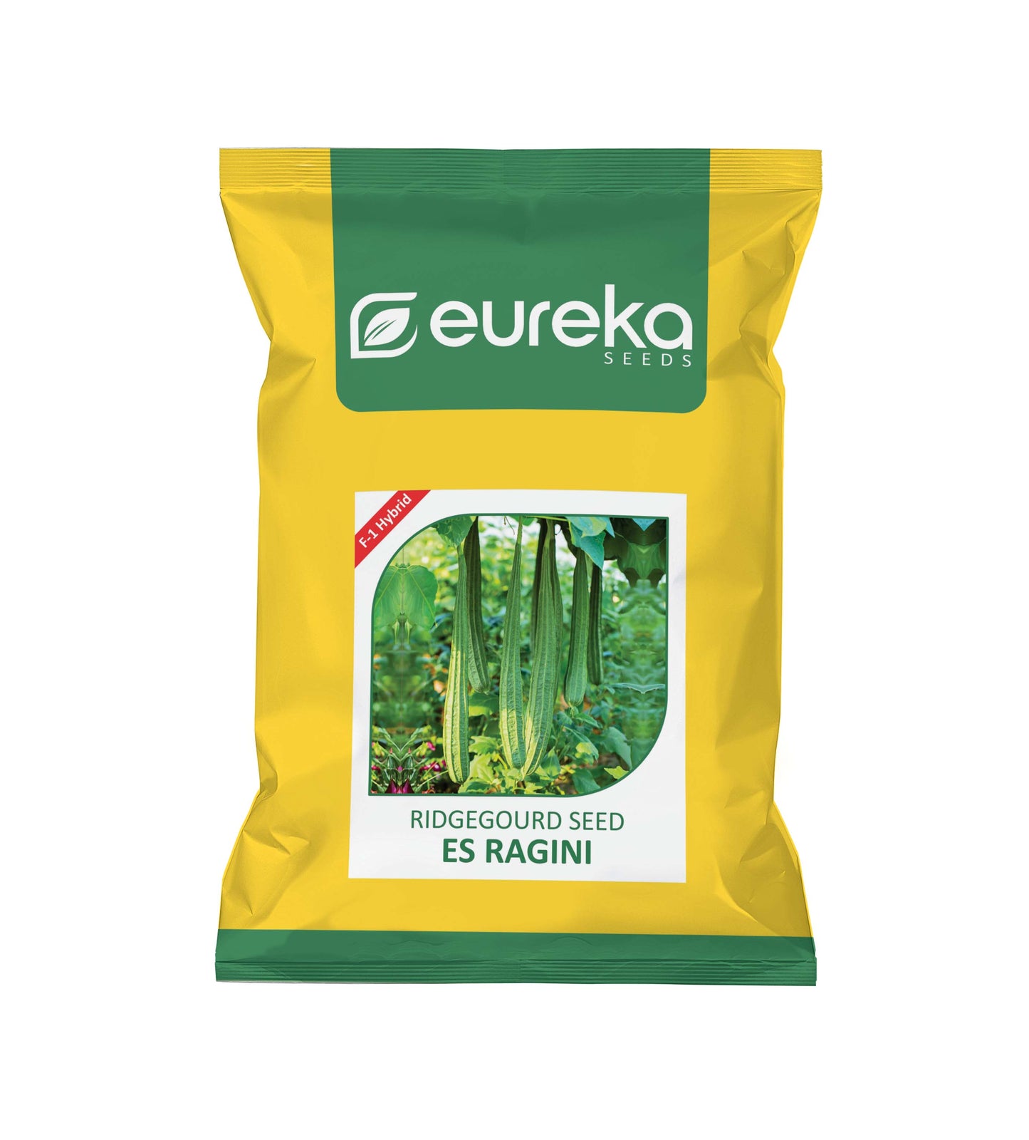 RIDGE GOURD ES RAGINI F1 HYBRID