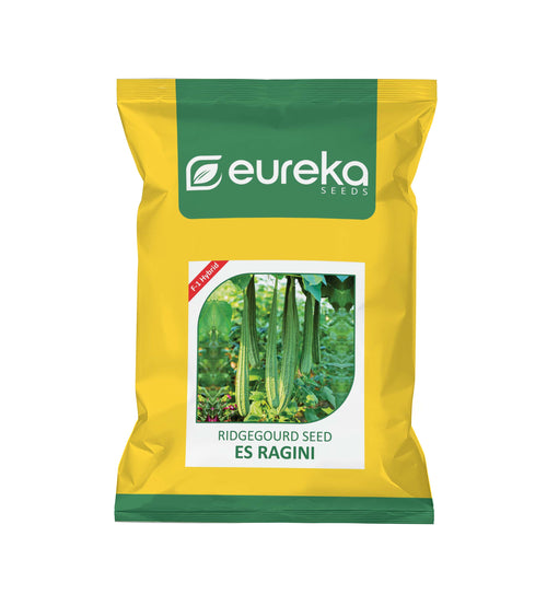 RIDGE GOURD ES RAGINI F1 HYBRID