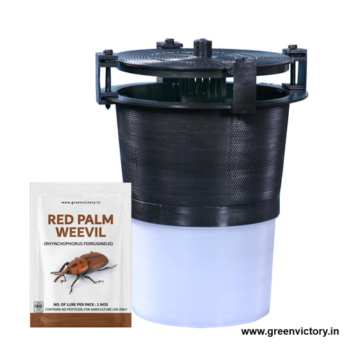 RED PALM WEEVIL PHEROMONE & TRAP