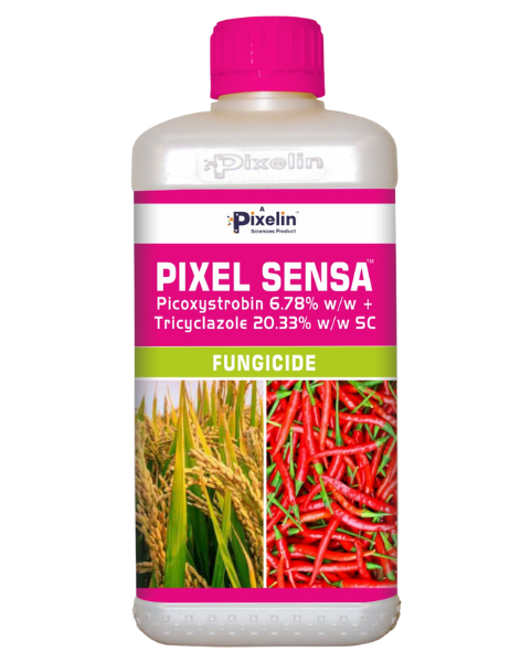 PIXEL SENSA | Picoxystrobin + Tricyclazole 20.33% SC | Broad-Spectrum Fungicide for Rice Blast & Sheath Blight Control