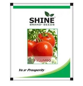 Shine Brand Tomato Jumbo F1