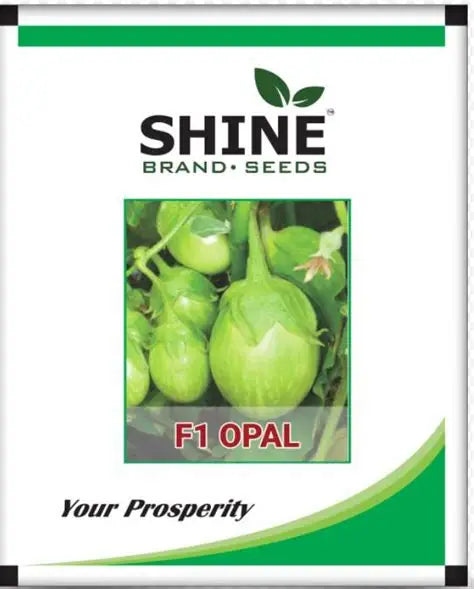 Shine Seed Brinjal Opal F1