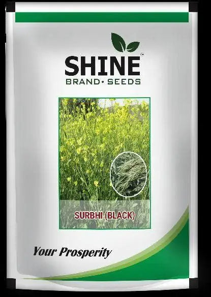 Shine Seed Mustard Surabhi Black