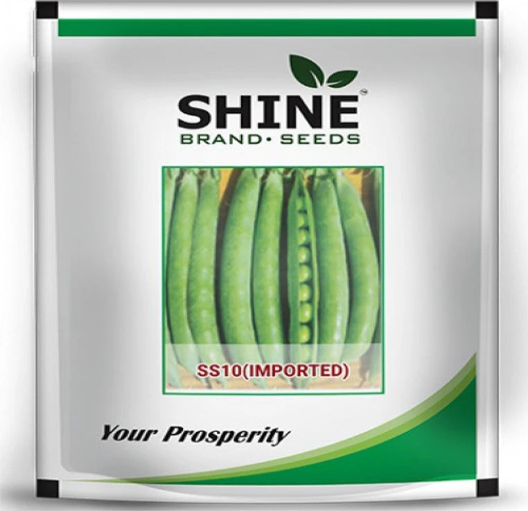 Shine Seed Pea-SS10 (Imported)