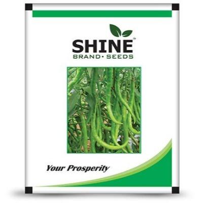 Shine Seeds Chilli F1 Shine - 610