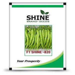 Shine Seeds Chilli F1 shine-820