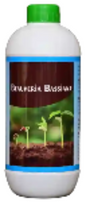 Natural Pest Management: Beauveria Bassiana for ₹216