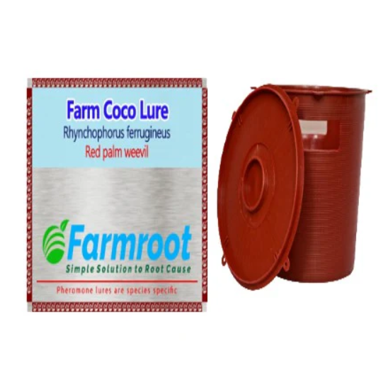 FARM RED PALM LURE  (RPW) WITH  RED BUCKET TRAP