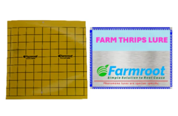 FARM THRIPS LURE WITH STICKY TRAP; Pack of 10