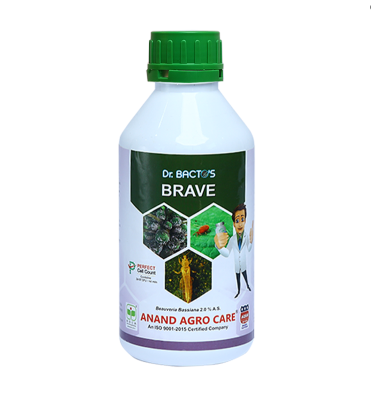 Dr.Bacto’s Brave; 500ml