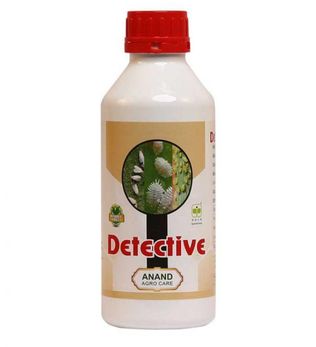 Detective