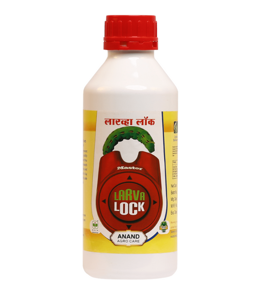 Larva Lock
