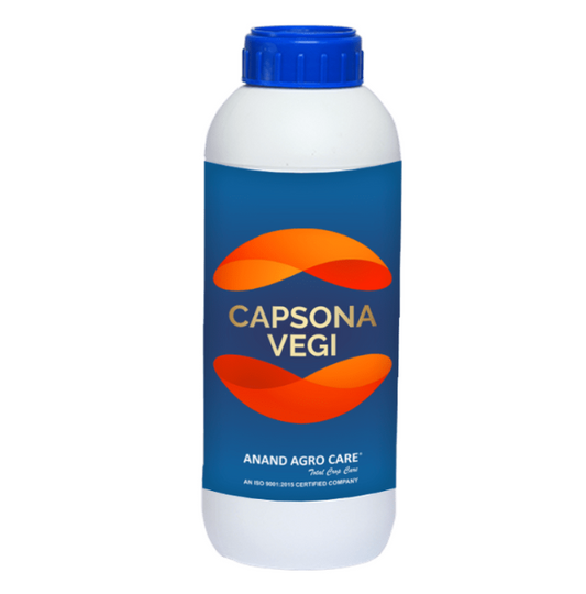 Capsona vegi