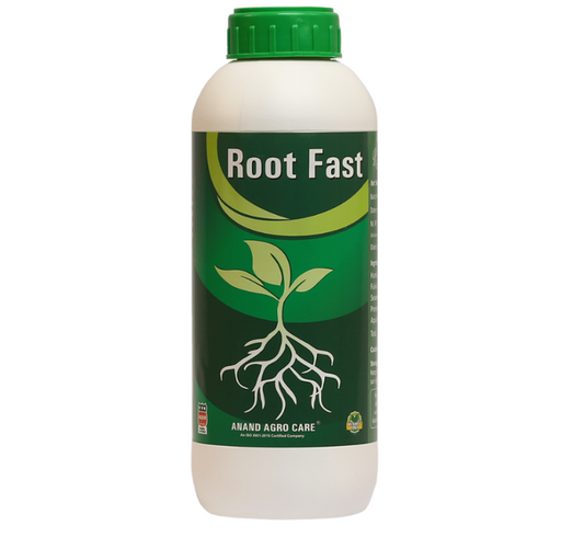Root-Fast L - 36%