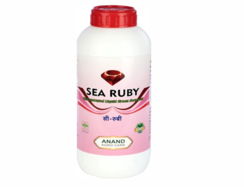 Sea Ruby - L