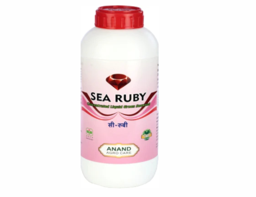 Sea Ruby - L