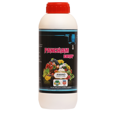 Pancham Drip - L