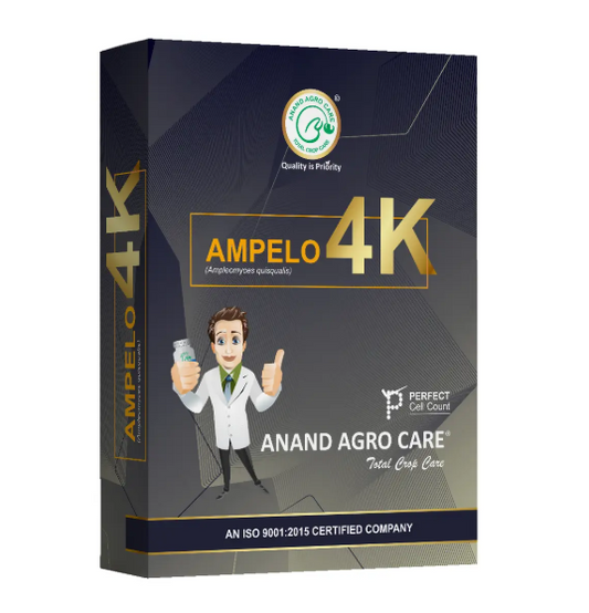 Dr.Bacto's Ampelo -  4K