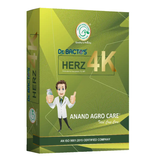 Dr.Bacto's Herz -  4K
