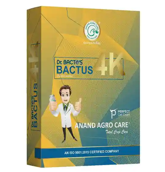 Dr.Bacto's Bactus-  4K