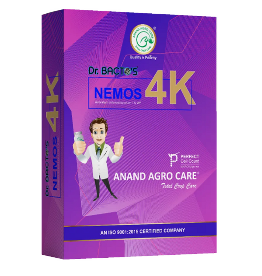 Dr.Bacto's Nemos -  4K