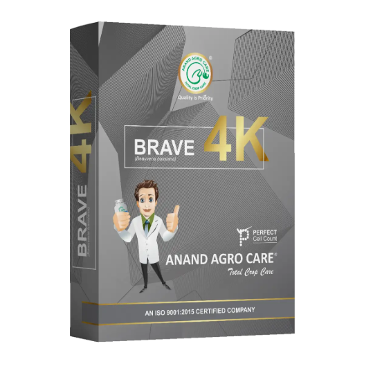 Dr.Bacto's Brave -  4K