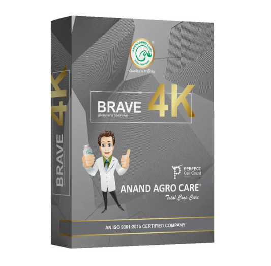 Dr.Bacto's Brave -  4K