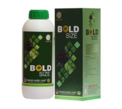 Bold Size