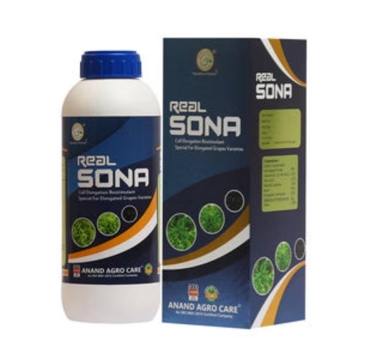 Real Sona
