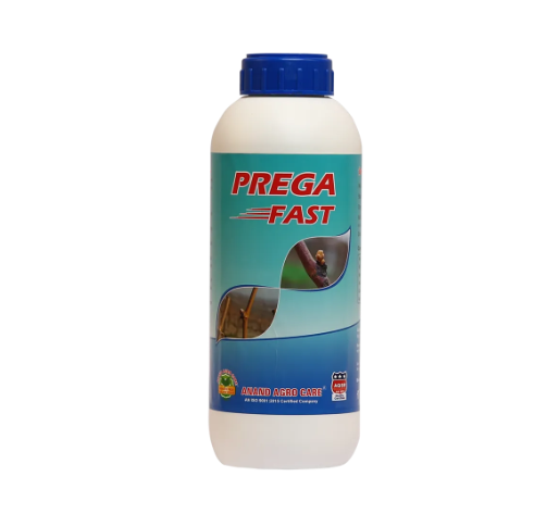 Prega Fast