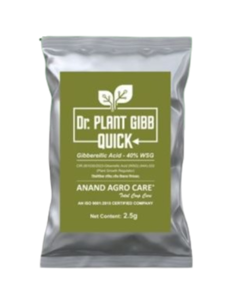 Dr.Plant Gibb Quick(Gibberellic acid 40% WDG)