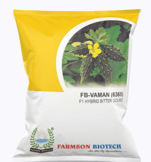 FB-VAMAN (6365) F1 HYBRID BITTER GOURD SEEDS (SMALL SIZED OR CHOCOLATE TYPE)