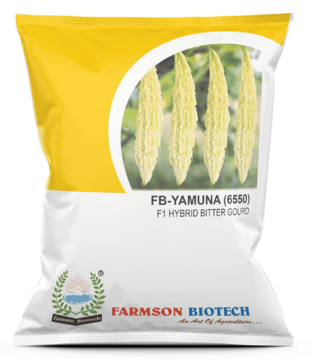 FB-YAMUNA (6550) F1 HYBRID WHITE BITTER GOURD SEEDS (LONG)
