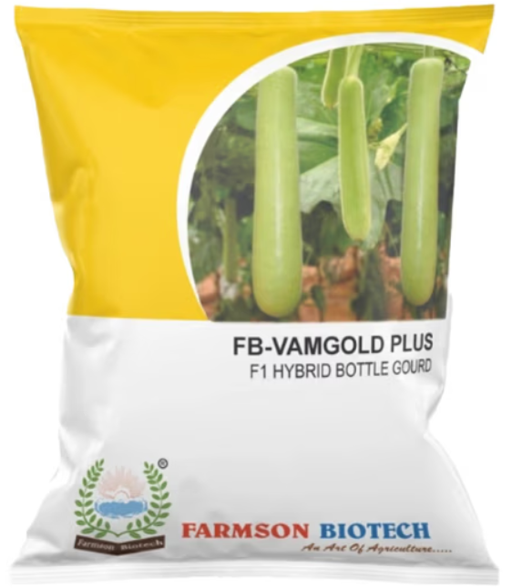 FB-VAMGOLD PLUS F1 HYBRID BOTTLE GOURD SEEDS