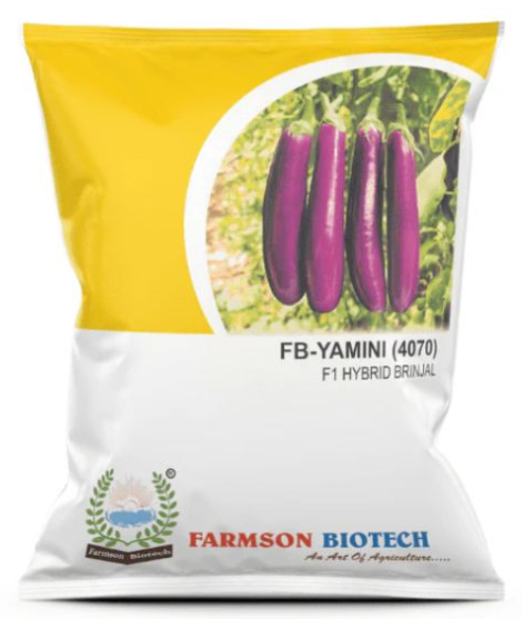 FB-YAMINI (4070) F1 HYBRID BRINJAL SEEDS