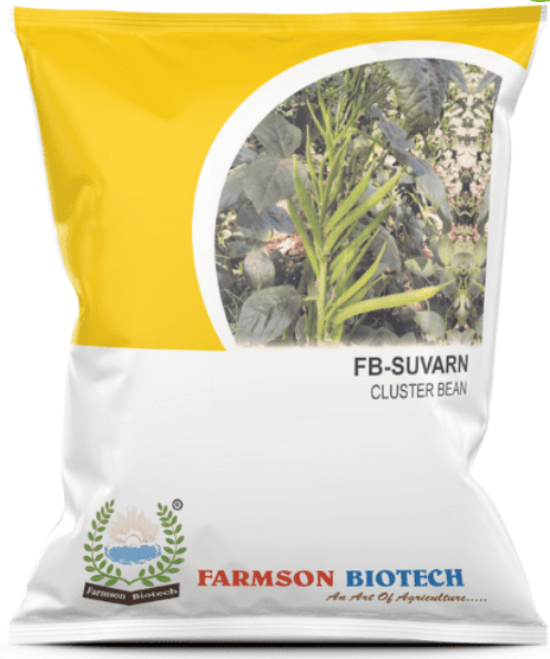 FB-SUVARN CLUSTERBEAN SEEDS