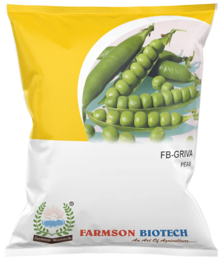 FB-GRIVA (GS-10) PEAS SEEDS