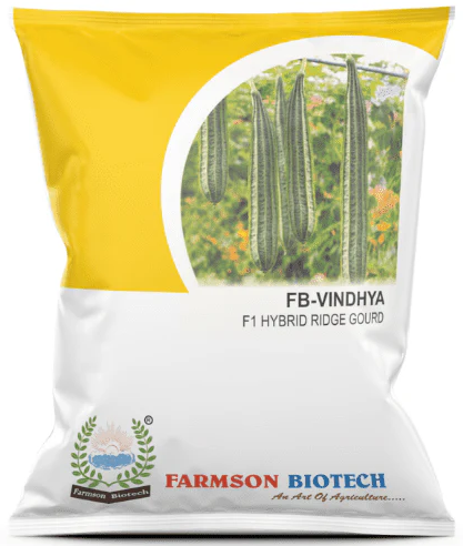 FB-VINDHYA F1 HYBRID RIDGE GOURD SEEDS
