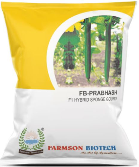 FB-PRABHAS F1 HYBRID SPONGE GOURD SEEDS