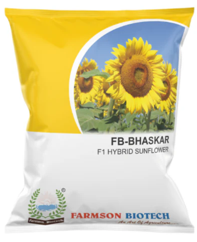 FB-BHASKAR F1 HYBRID SUNFLOWER SEEDS