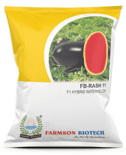 FB-RASH11 F1 HYBRID WATERMELON SEEDS