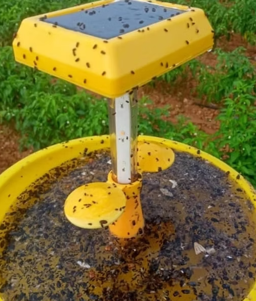 FARM MINI SOLAR TRAP