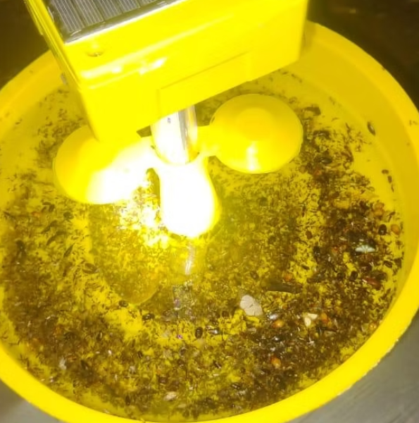 FARM MINI SOLAR TRAP