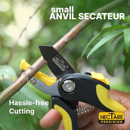 Hectare Precision Pruning Secateurs (Small anvil for dry and hard branch)